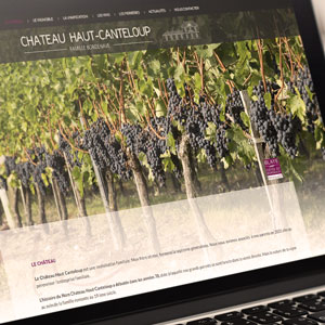 Ch�teau Haut Canteloup