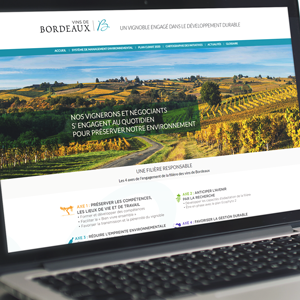 Conseil Interprofessionnel du Vin de Bordeaux