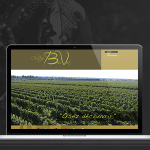Ch�teau bois vert