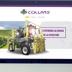 Collard