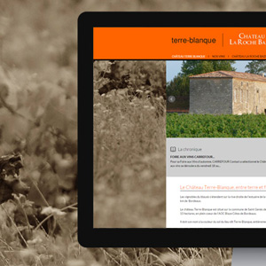 Ch�teau TERRE BLANQUE